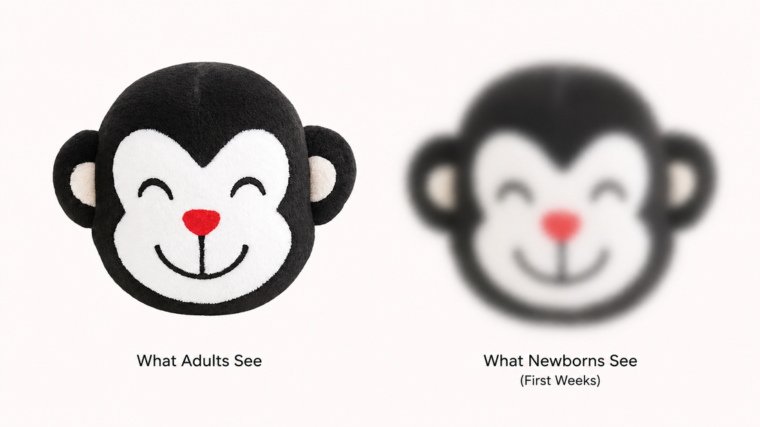 What Can Newborns See? (0–3 Months Explained for Parents)