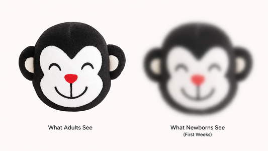 What Can Newborns See? (0–3 Months Explained for Parents)